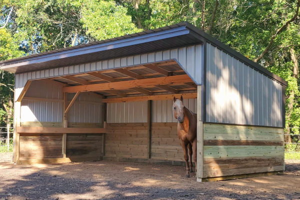 24x12 Run In Horse Shelter RFC